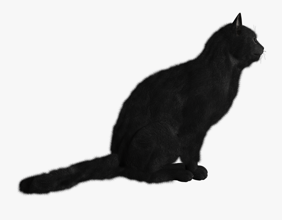 24 Cat Png Image - Black Catspng, Transparent Clipart