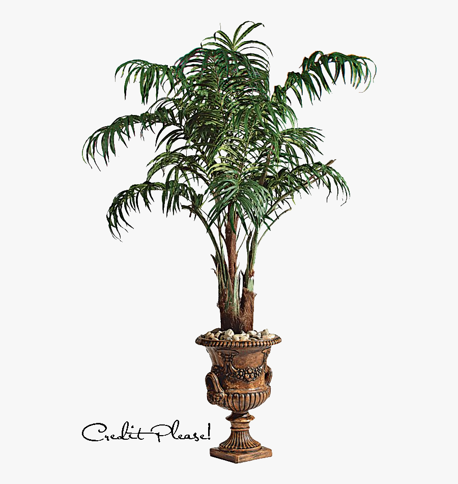 Potted Palm Tree Png - Png Format Png Background , Free Transparent