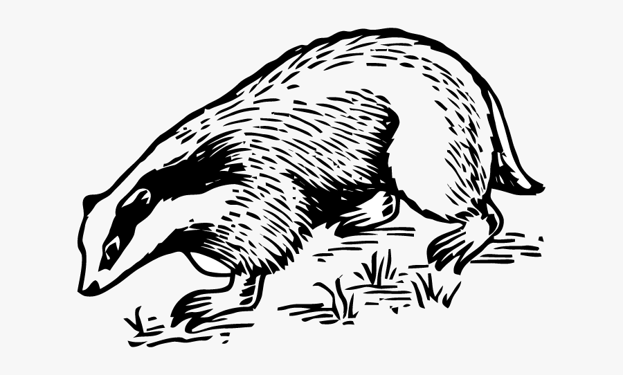 Illustration, Transparent Clipart