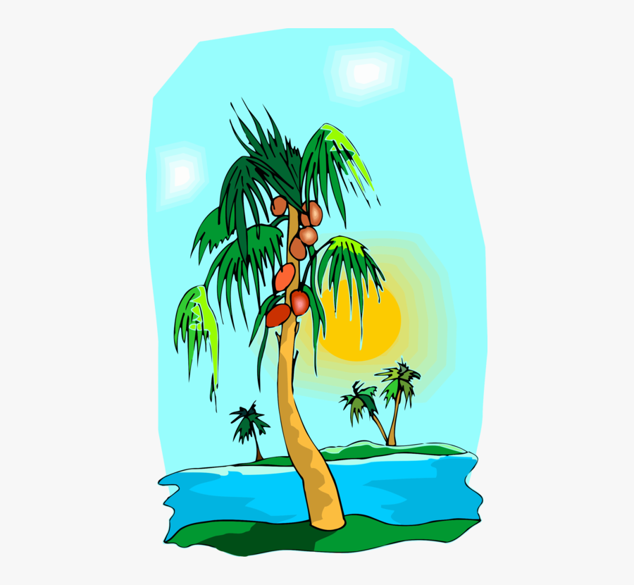 Plant,flora,leaf - Attalea Speciosa, Transparent Clipart