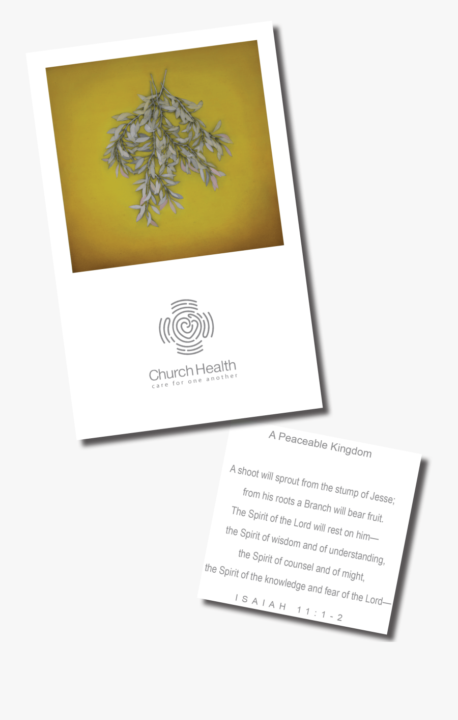 Palm Tree - Paper, Transparent Clipart