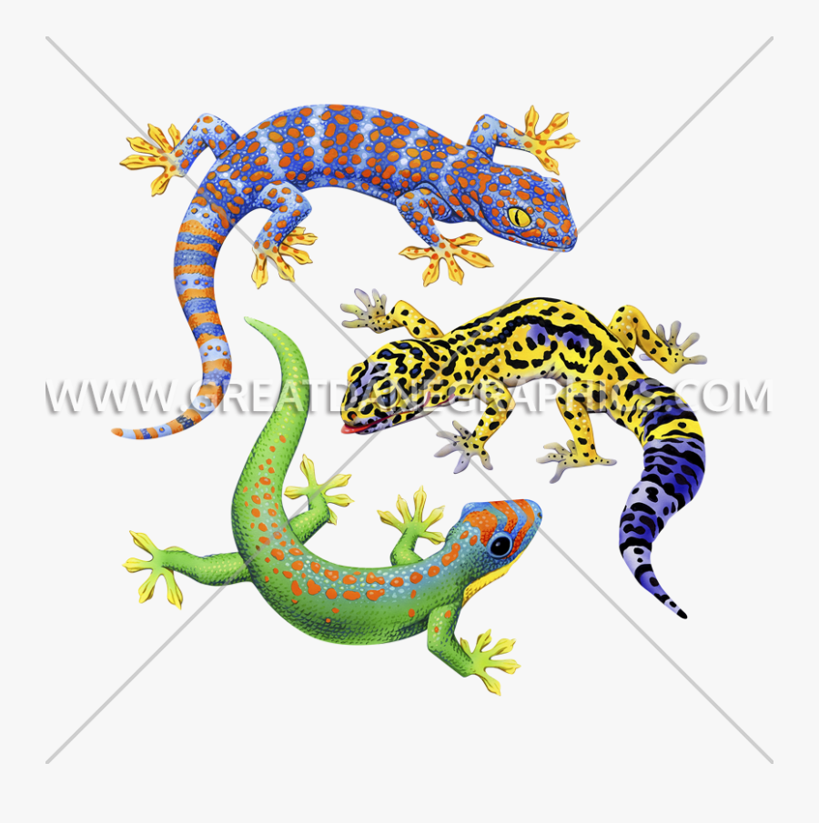 Transparent Gecko Spotted - Gecko, Transparent Clipart