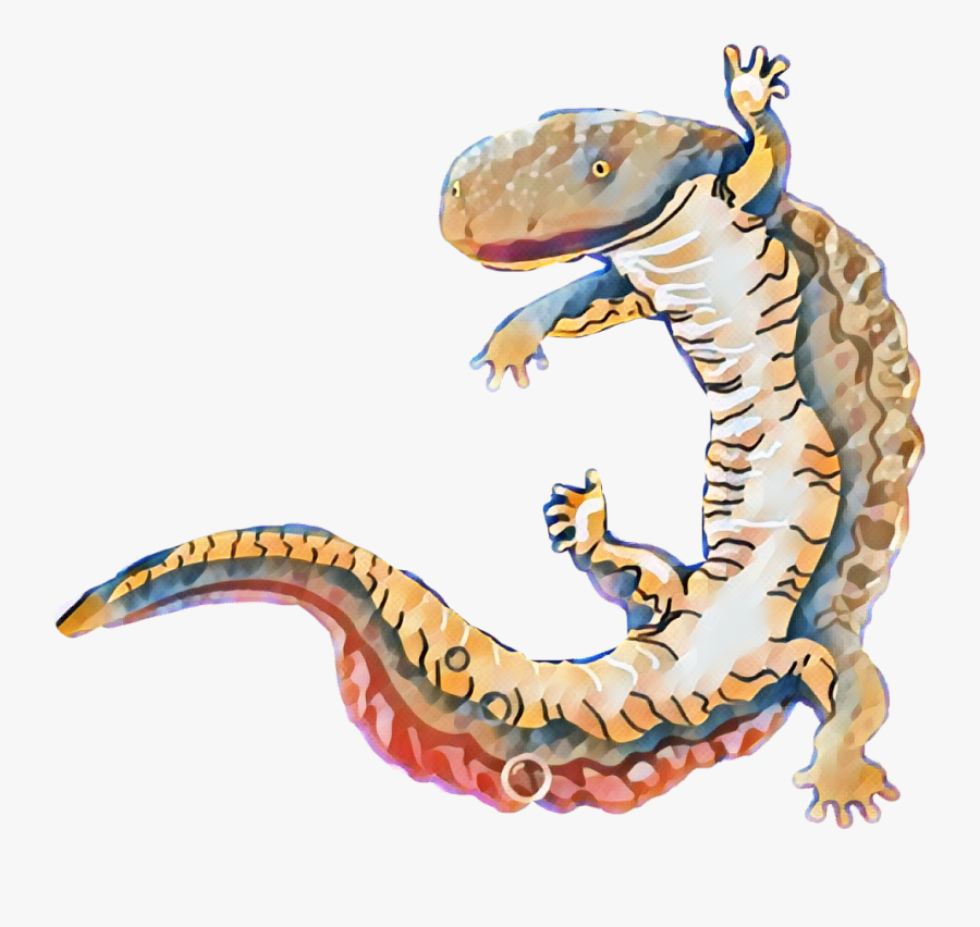 #salamander #freetoedit, Transparent Clipart
