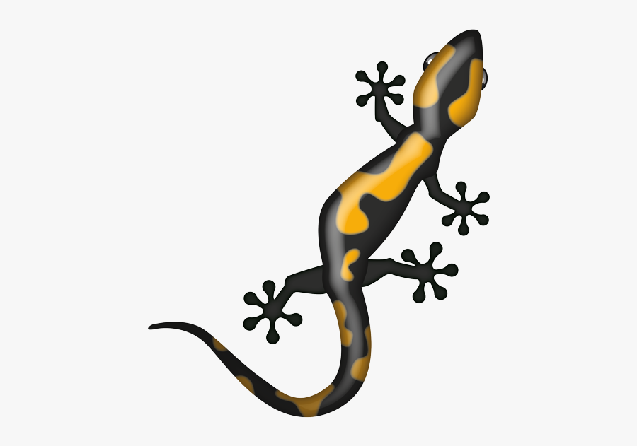 Gekkonidae, Transparent Clipart