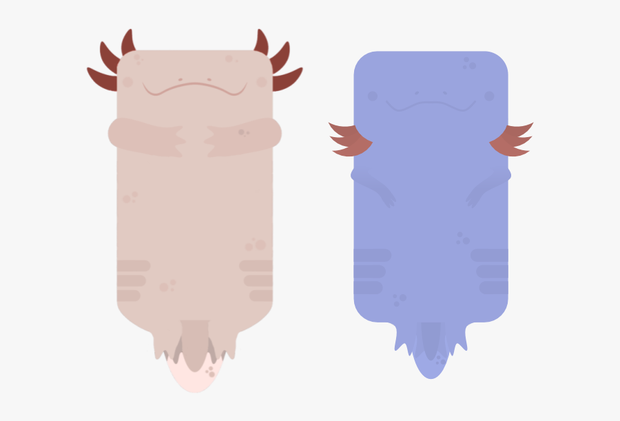 Illustration, Transparent Clipart