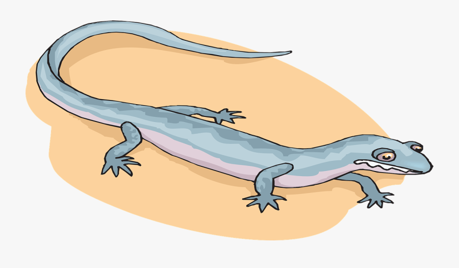 Amphibian Salamander Cartoon, Transparent Clipart