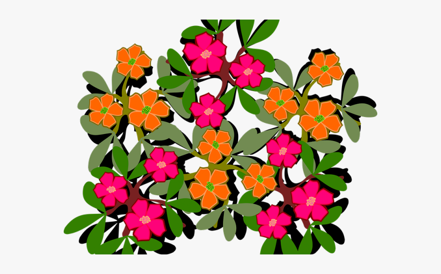 Portulaca Clipart, Transparent Clipart