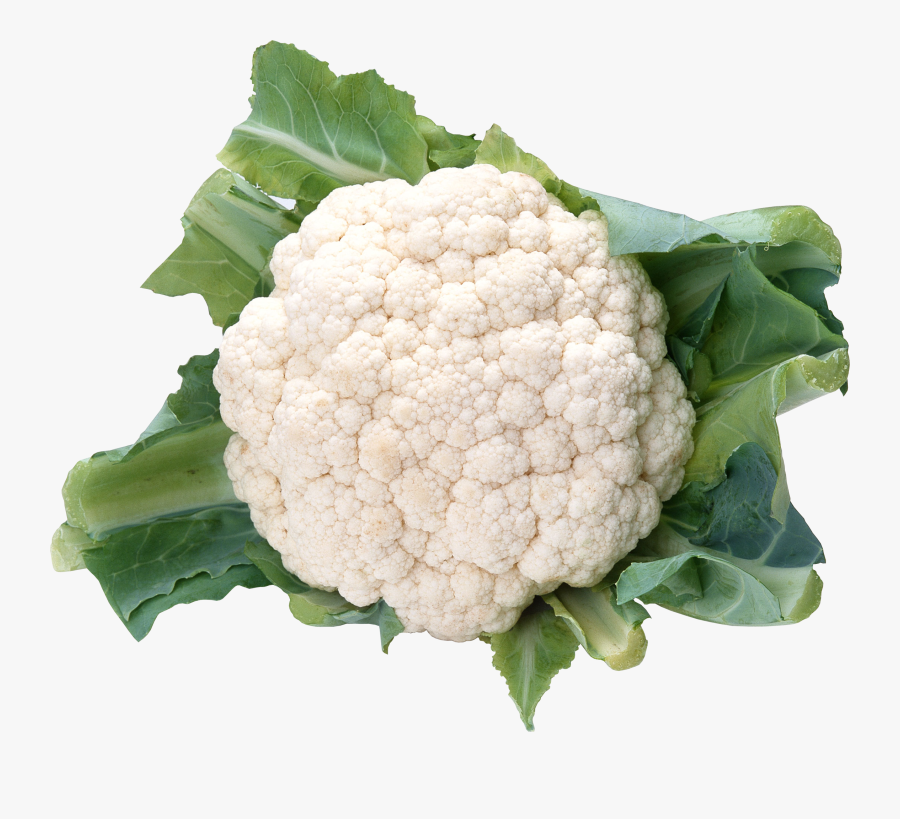 Transparent Cabbage Clipart - Cauliflower Png, Transparent Clipart