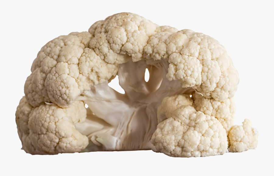 Clipart Vegetables Cauliflower - Cauliflower ไทย, Transparent Clipart
