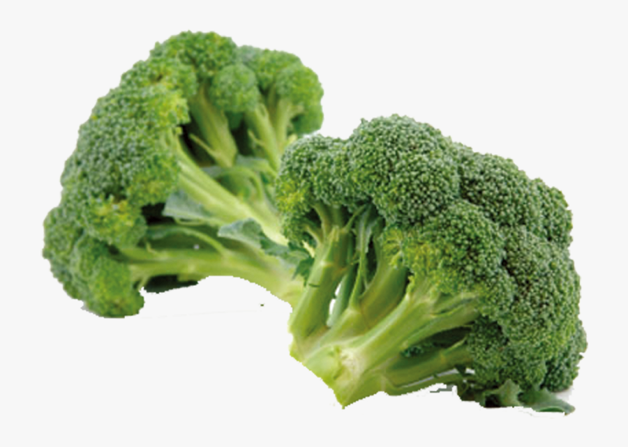 Broccoli Eating Vegetable Sulforaphane Chinese Cabbage - Information Of Broccoli, Transparent Clipart