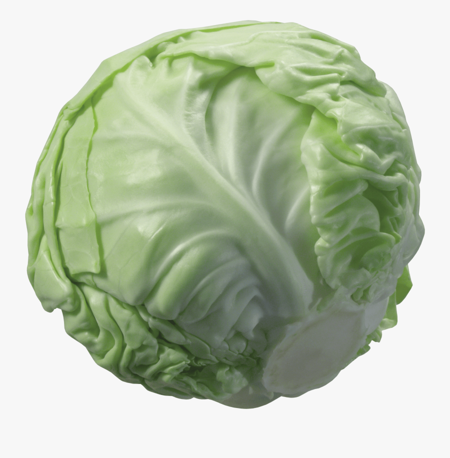 Cabbage Cauliflower Vegetable - Cabbage Png, Transparent Clipart