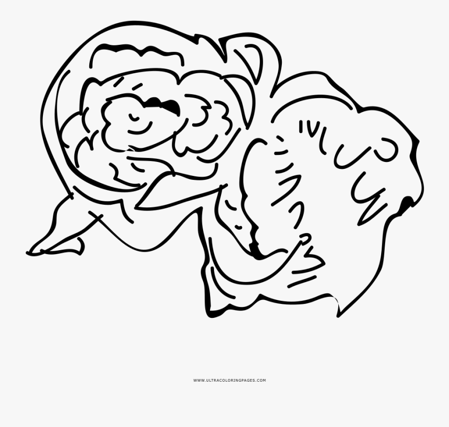 Transparent Cerebellum Clipart - Line Art, Transparent Clipart