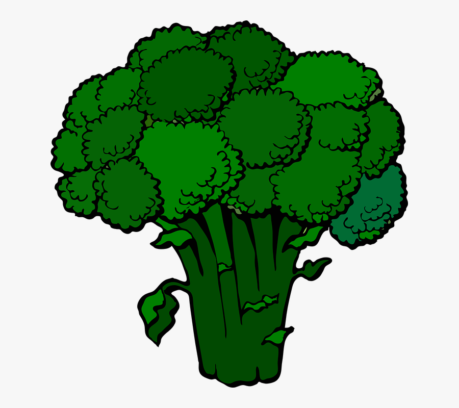 Clip Art Broccoli, Transparent Clipart
