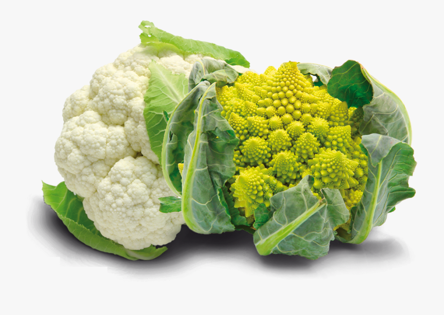 Clip Art Roman Cauliflower - Exotic Veggies, Transparent Clipart