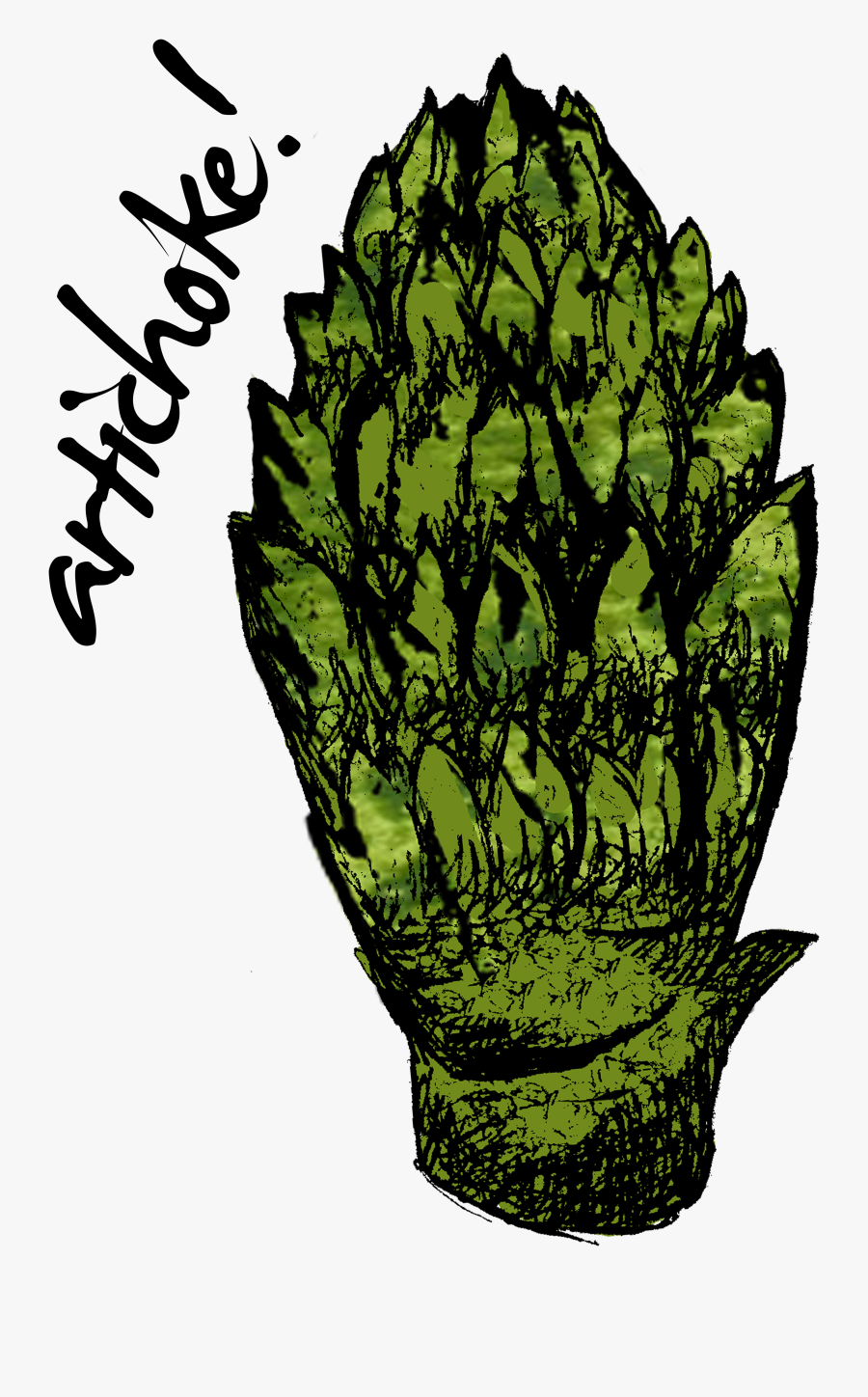 Transparent Cauliflower Png - Cauliflower, Transparent Clipart