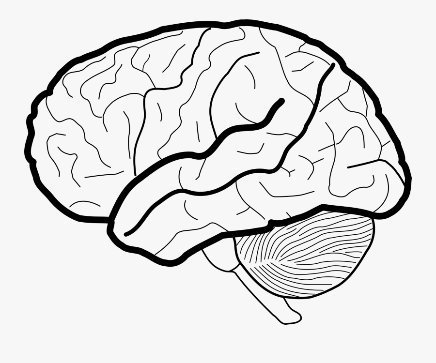 Brain Picture Black And White, Transparent Clipart
