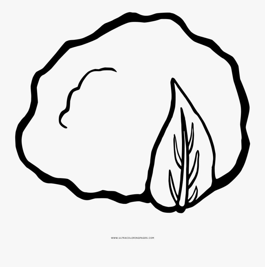 Cauliflower Coloring Page - Line Art, Transparent Clipart