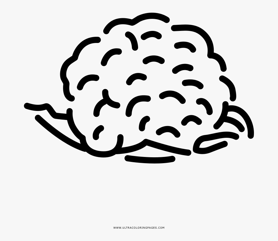 Cauliflower Coloring Page, Transparent Clipart