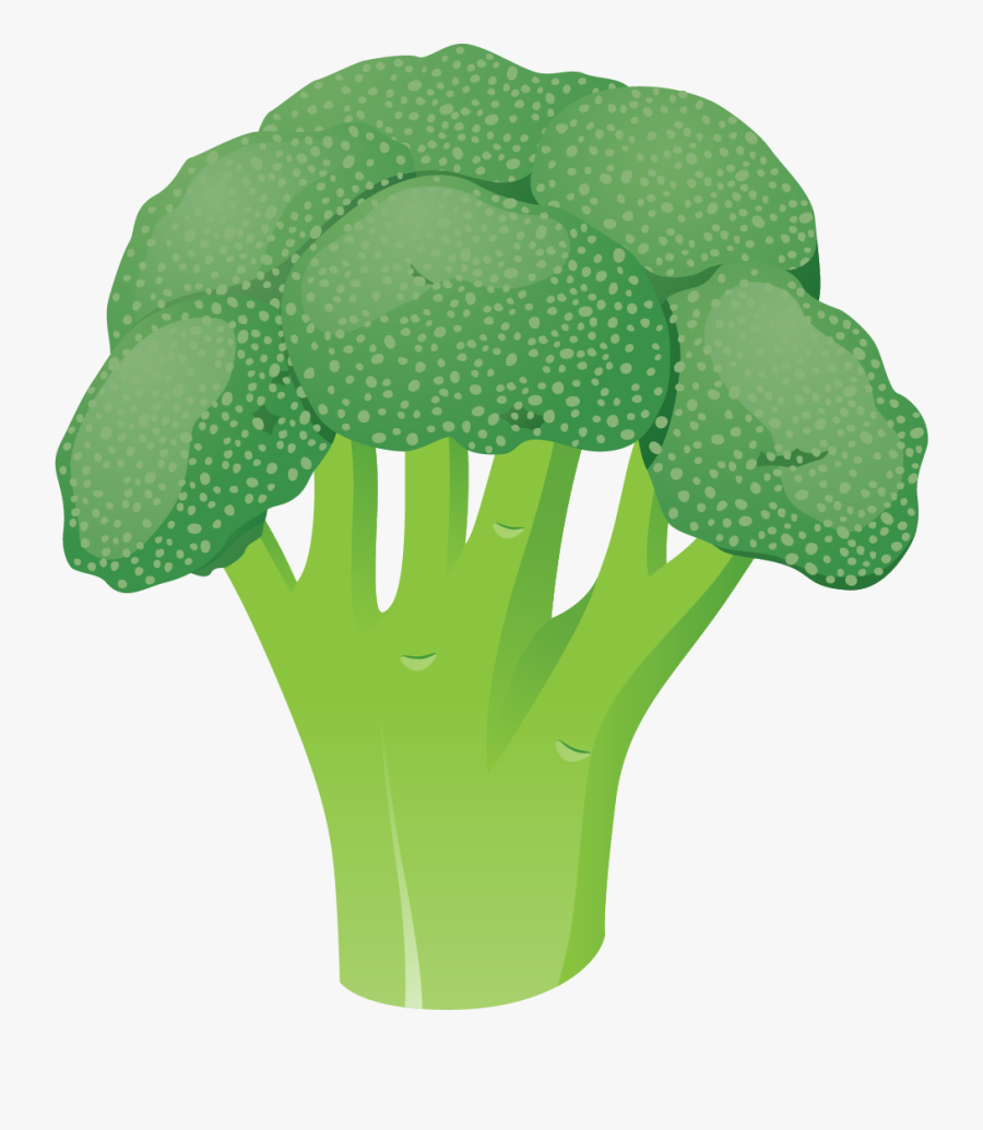 Broccoli, Transparent Clipart