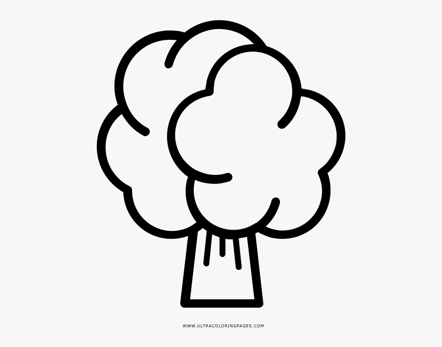 Cauliflower Coloring Page - Line Art, Transparent Clipart