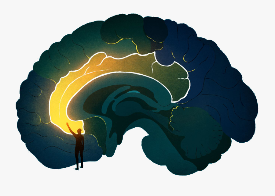 Cauliflower Clip Art, Transparent Clipart