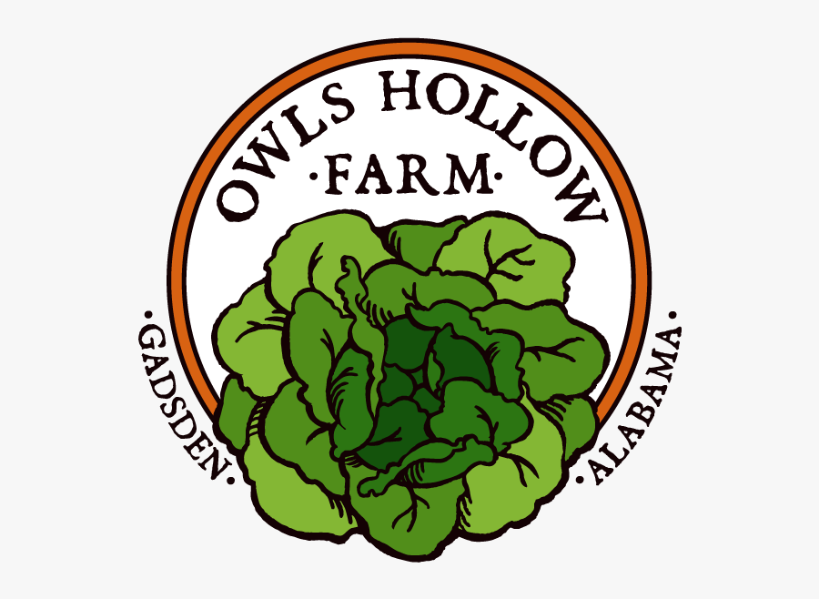 Lcc Murcia Logo, Transparent Clipart