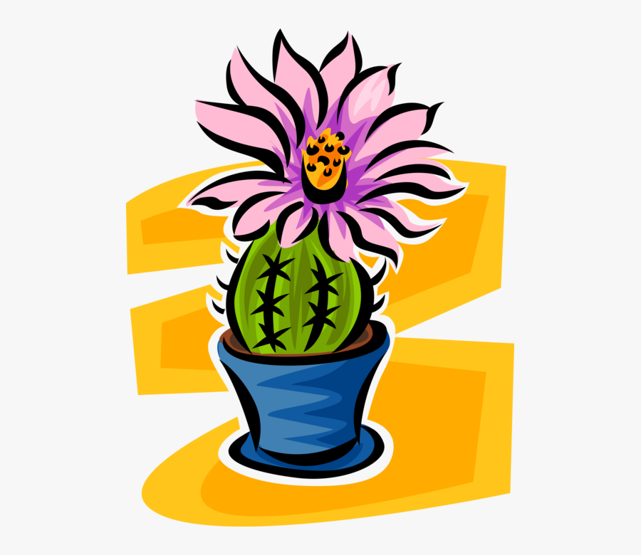 Vector Illustration Of Botanical Flowering Cactus Plant - Houseplant, Transparent Clipart
