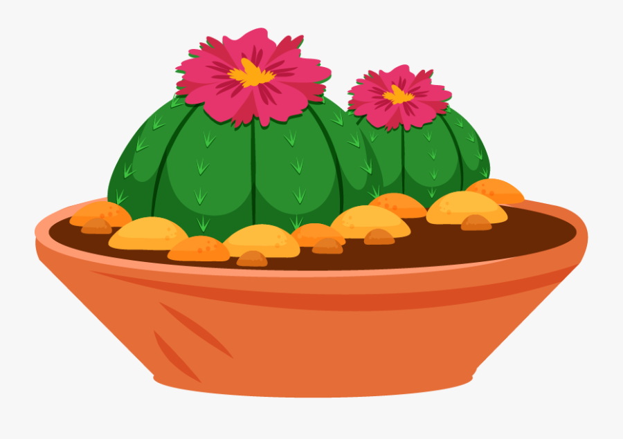 Common Zinnia, Transparent Clipart
