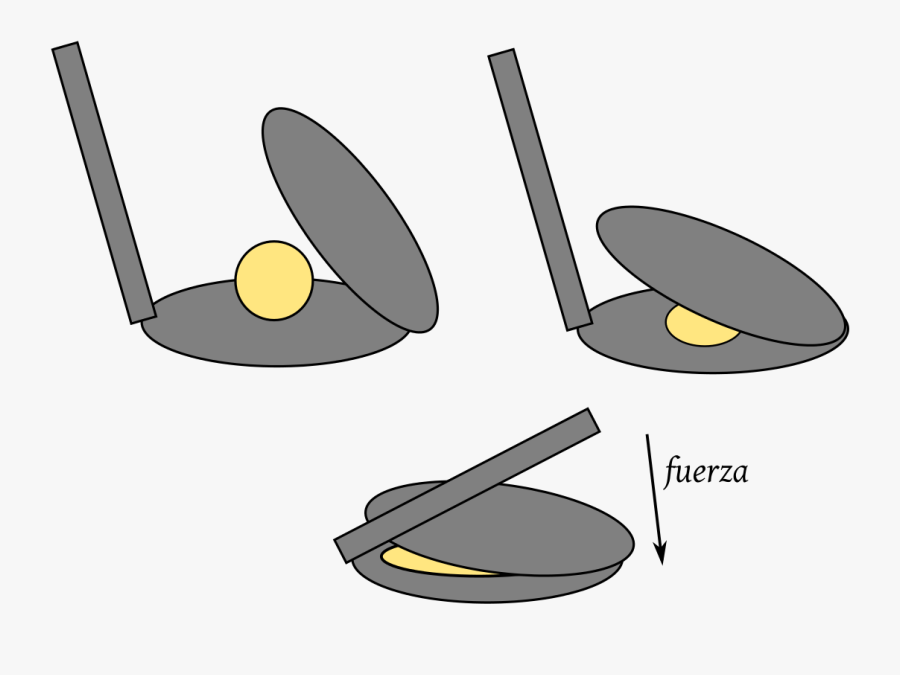 Maricona, Transparent Clipart