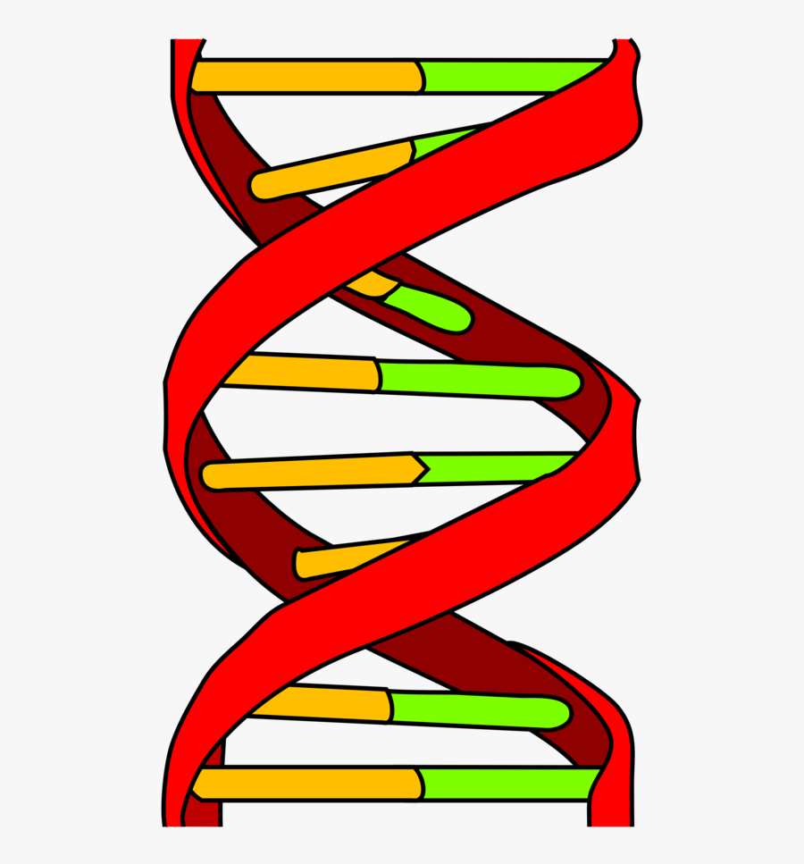 Dna Memes, Transparent Clipart