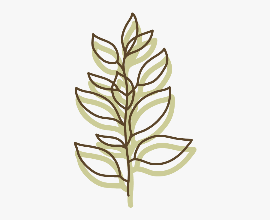 Portable Network Graphics, Transparent Clipart