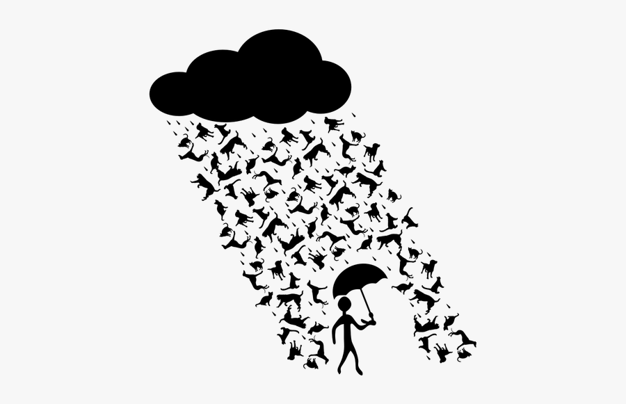 Raining Cats And Dogs - Its Raining Cats And Dogs Png, Transparent Clipart