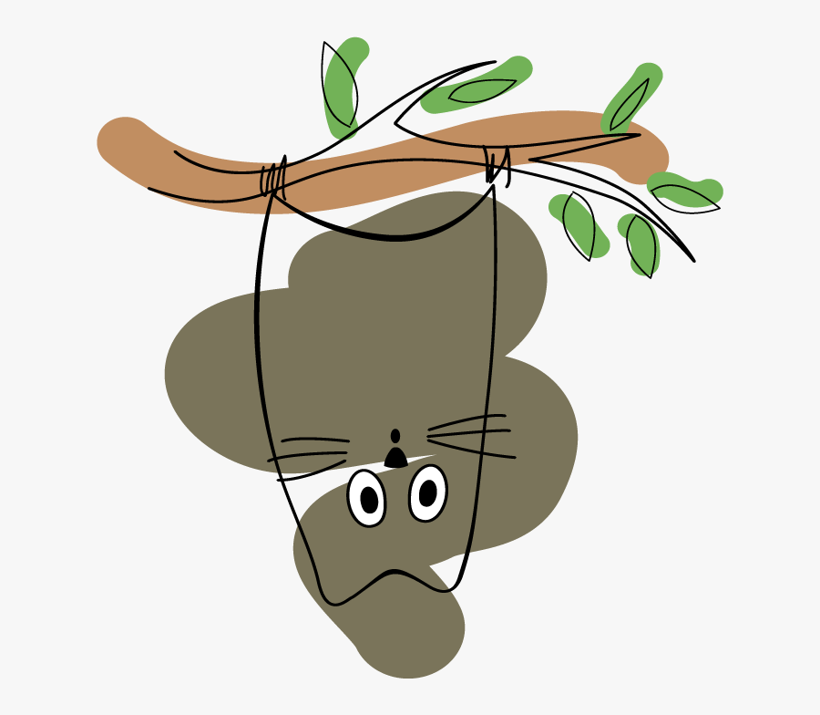 Vector Graphics, Transparent Clipart