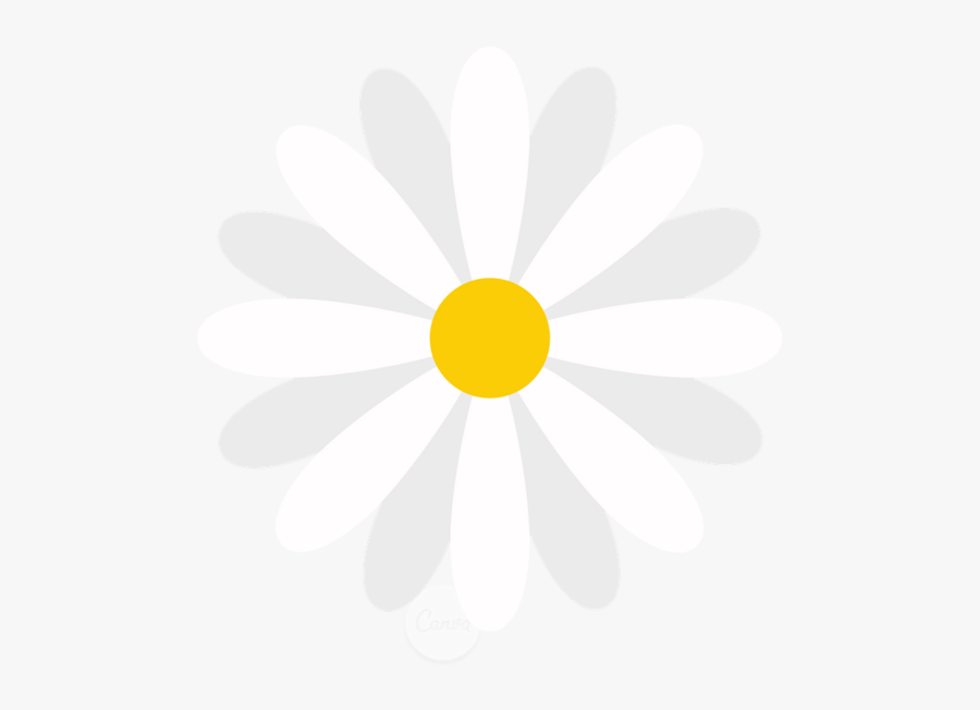 Circle, Transparent Clipart
