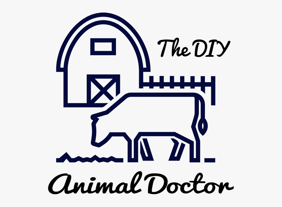 How To Use The, Transparent Clipart