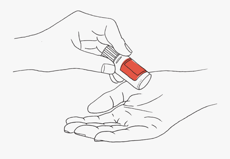 Sketch, Transparent Clipart