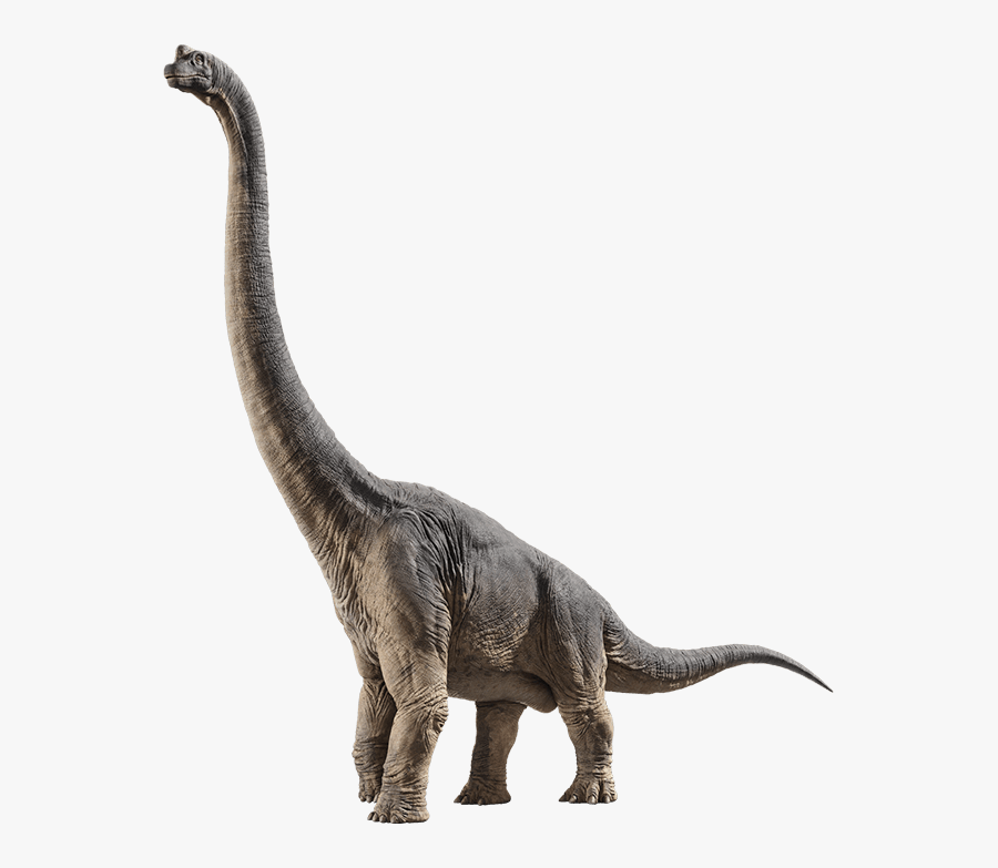 Official Jurassic World - Jurassic World Fallen Kingdom Brachiosaurus, Transparent Clipart