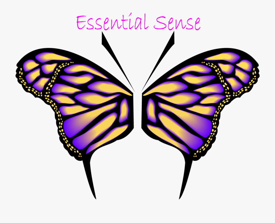 Real Butterfly Wings Png, Transparent Clipart