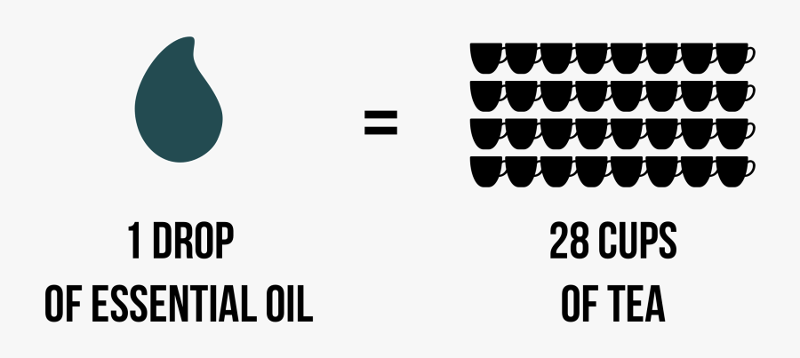 Funny, Transparent Clipart