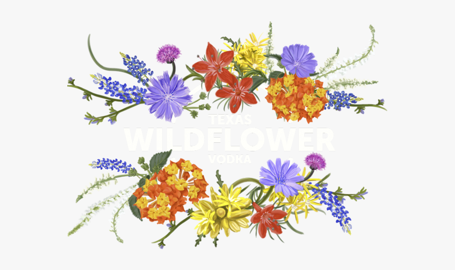 Texas Wildflower Clip Art, Transparent Clipart