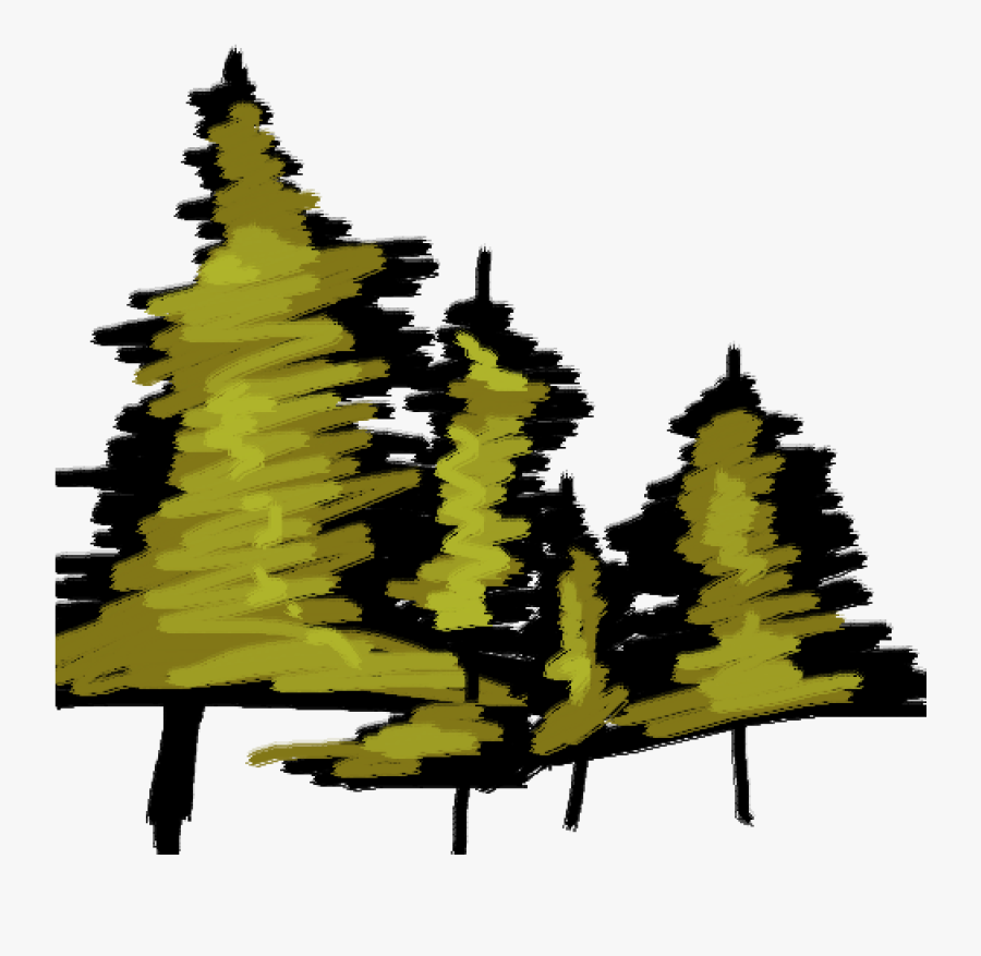 Fir, Transparent Clipart