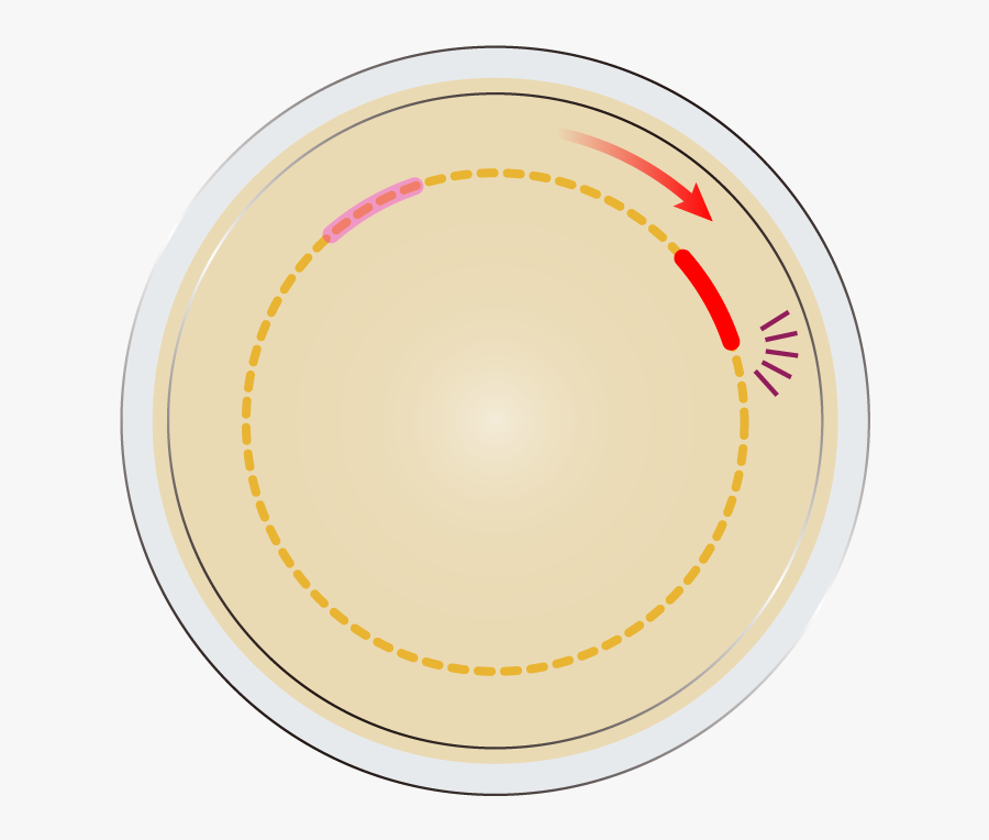 Circle, Transparent Clipart