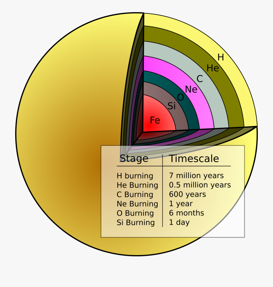 Onion Skin Structure Of A Star , Free Transparent Clipart ClipartKey