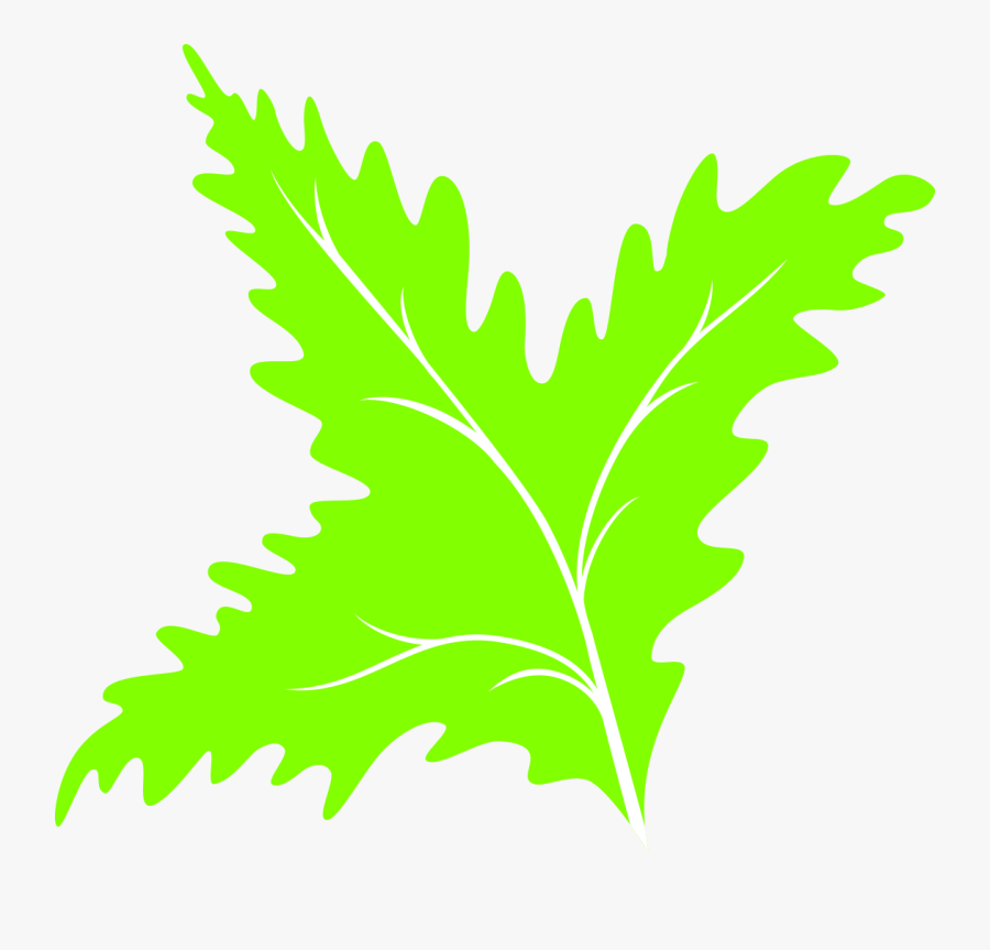 3 Vector Oak Tree - Icon, Transparent Clipart