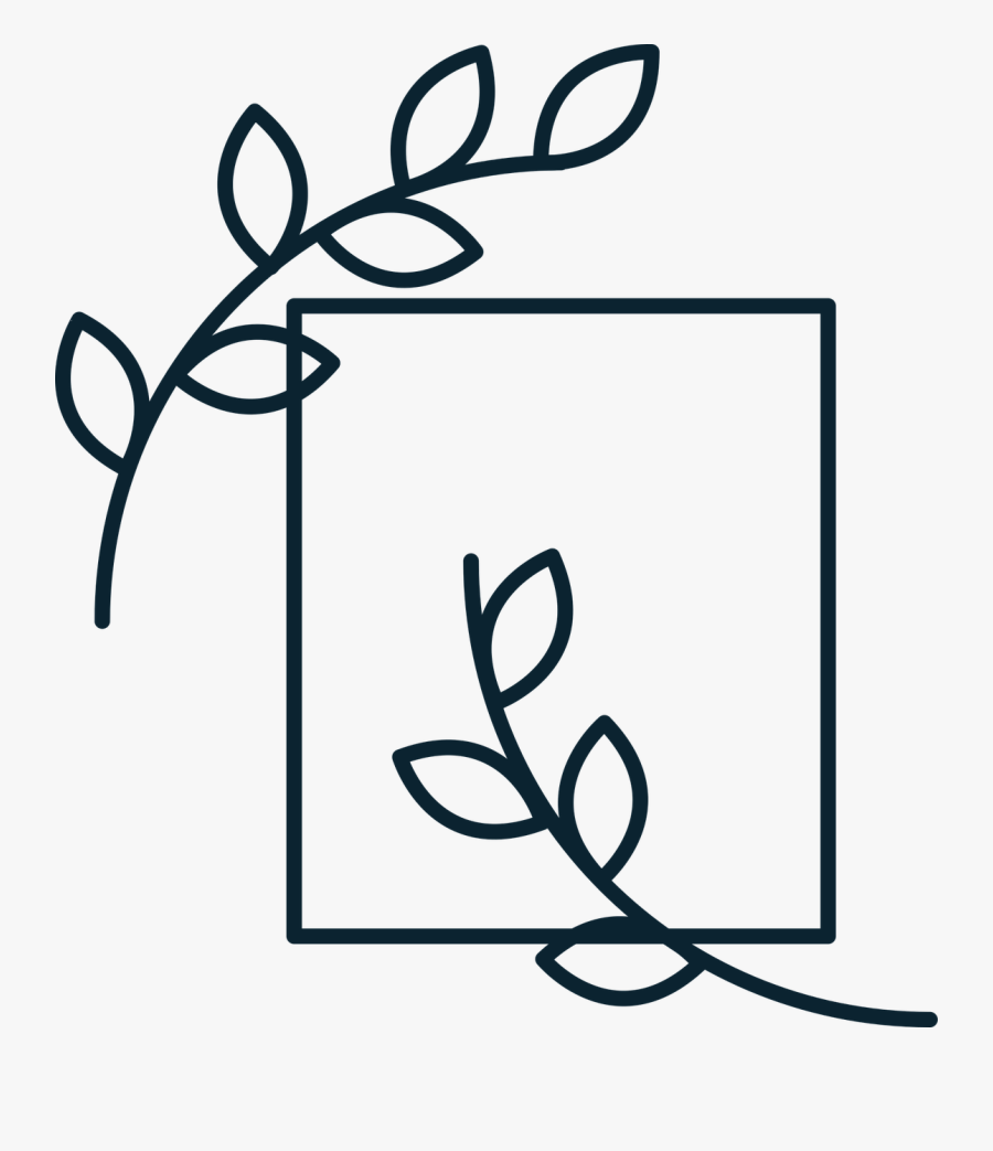 Diploma, Paper, Certificate, Scroll, Graduation, Achievement,, Transparent Clipart