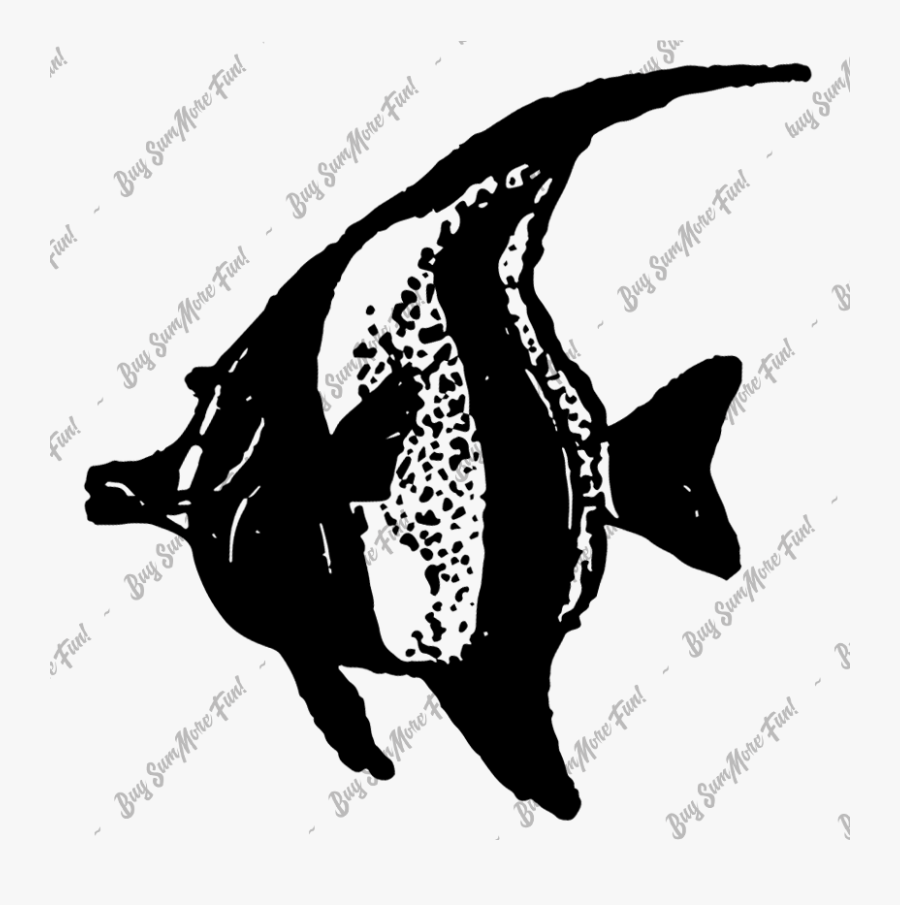 Fish - Illustration, Transparent Clipart