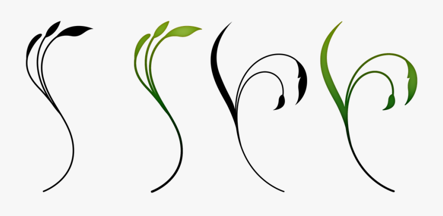 Clip Art, Transparent Clipart