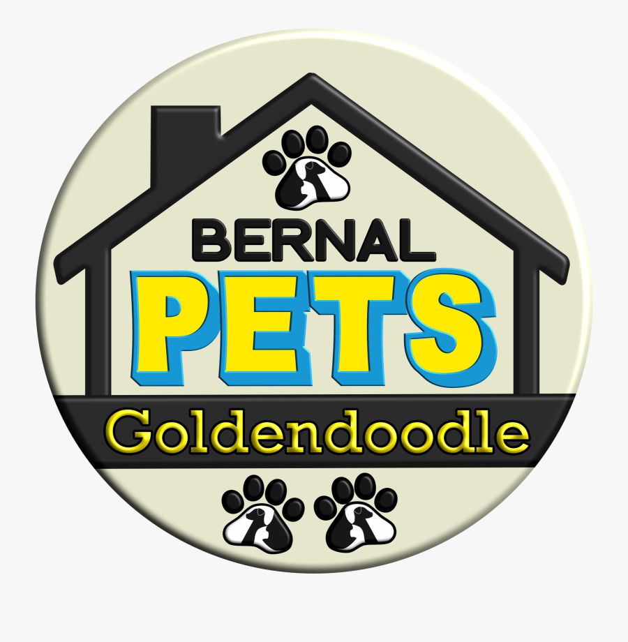 Bernal Golden Doodle - Circle, Transparent Clipart
