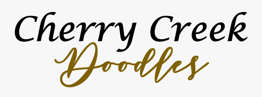 Calligraphy, Transparent Clipart