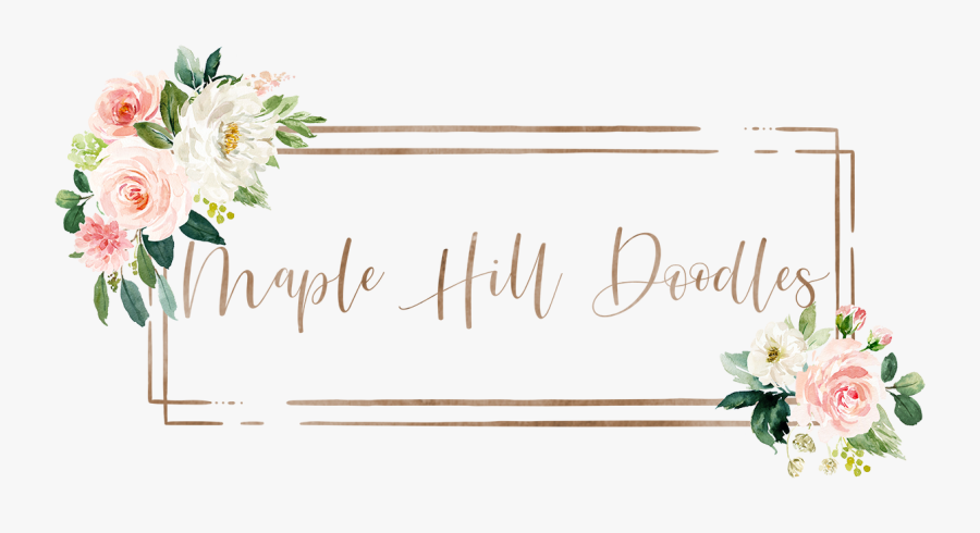 Logo, Transparent Clipart